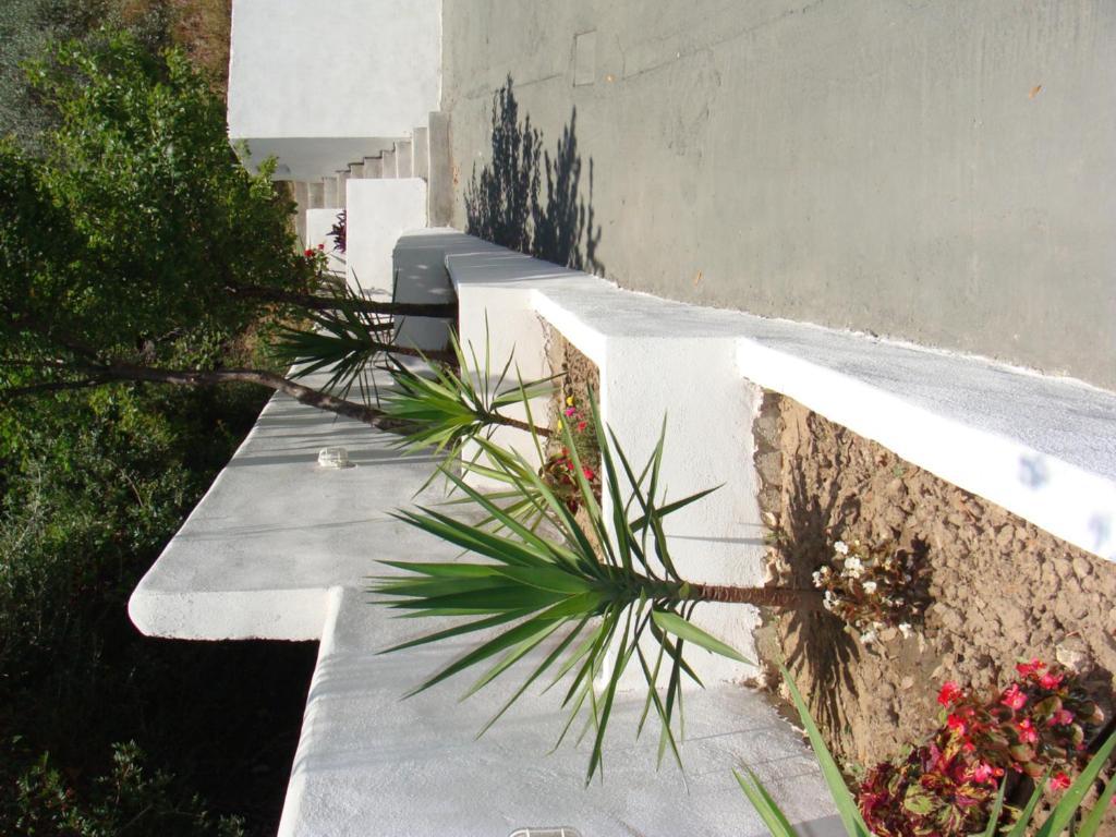 Villa Diamanti Kanapitsa (Thessaly) Exterior foto